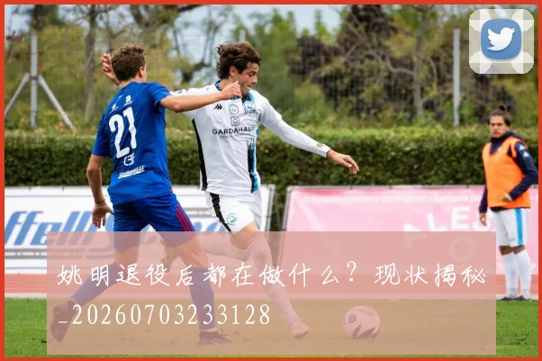姚明退役后都在做什么？现状揭秘_20260703233128