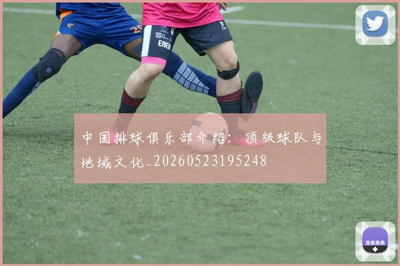 中国排球俱乐部介绍：顶级球队与地域文化_20260523195248