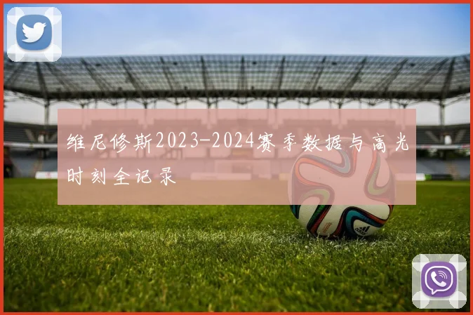 维尼修斯2023-2024赛季数据与高光时刻全记录